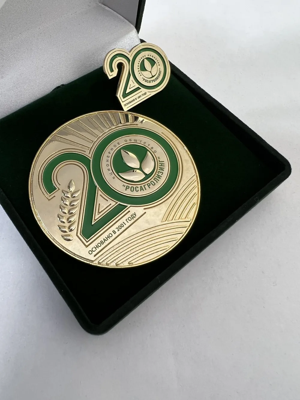 Medalla corporativa de aniversario con pin a juego, en estuche